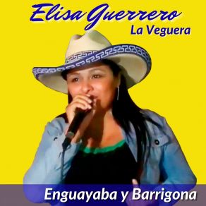 Download track Mi Mango Piche Elisa Guerrero La Veguera