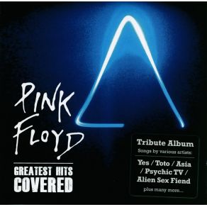 Download track Learning To Fly (Leather Strip) Pink Floyd