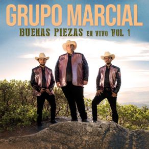 Download track Ven A Mis Brazos (En Vivo) Grupo Marcial