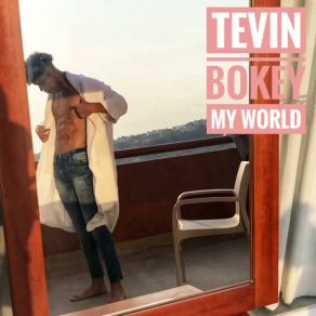 Download track Book Of My Life Tevin Bokey