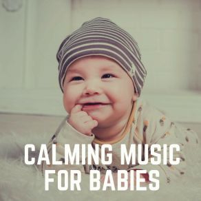 Download track 1 Hour Of Baby Bumblebee For Sleeping Baby, Pt. 27 Baby Music Center