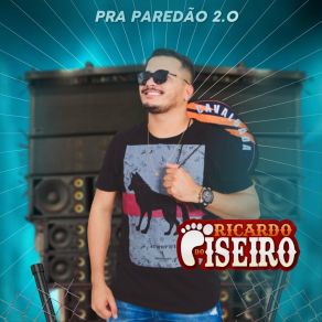 Download track Diz A Verdade Ricardo Do Piseiro