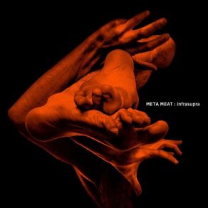 Download track Dichotomy Meta Meat