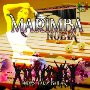 Download track El Gallo Prieto Marimba Nueva