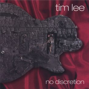 Download track Rain Came Down Tim Lee