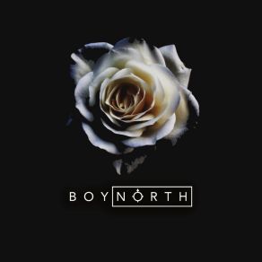 Download track Violet Boy North