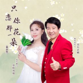 Download track 只恋你那花一朵 (舞曲版) 音乐走廊