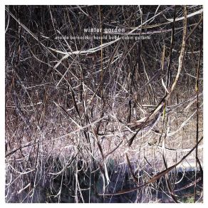 Download track Winter Garden Harold Budd, Robin Guthrie, Eraldo Bernocchi