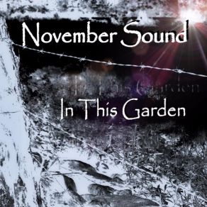 Download track Where The Trees Grow Tall November Sound