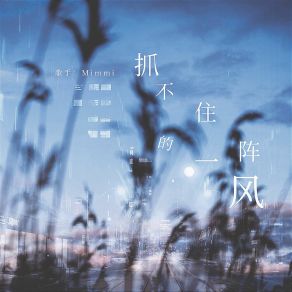 Download track 抓不住的一阵风 (DJ阿卓版伴奏) Mimmi