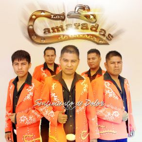 Download track Despedida Con La Banda Los Camaradas De Oaxaca