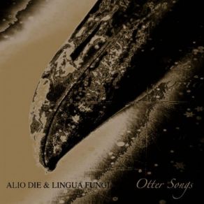 Download track Fount Of Flowing Water Alio Die, Lingua Fungi