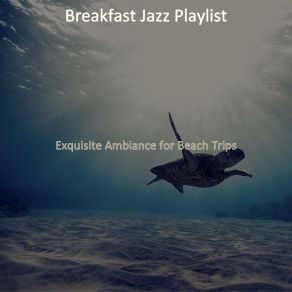 Download track Bossa Quintet Soundtrack For Summer Days Breakfast Jazz Playlist