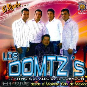 Download track Ayer Me Dijeron Los Domtz's