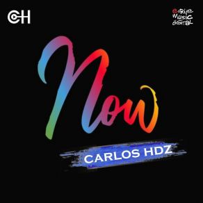 Download track Now (Edson Pride Remix) Carlos HdzEdson Pride