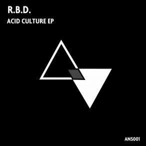 Download track Black City (Original Mix) R. B. D