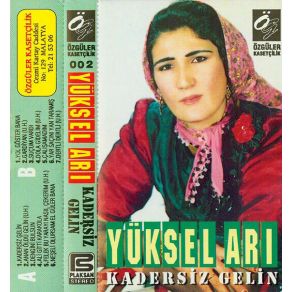 Download track Gözyaşlarım Şile Şile Yüksel Ari