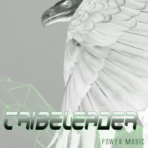 Download track Power Music (Tribe Master Version 3) Tribeleader