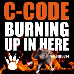 Download track Burning Up In Here (Beesmunt Remix) C - Code