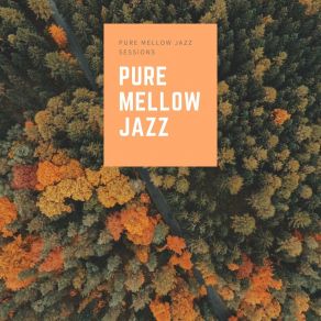 Download track You're With Me Pure Mellow Jazz