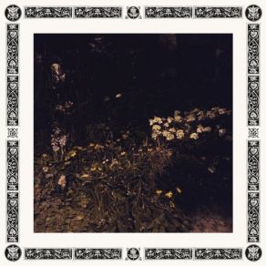 Download track If It Pleased Me To Appear To You Wrapped In This Drapery Sarah Davachi