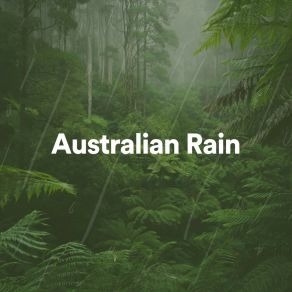 Download track Rain In The Mountains, Pt. 1 Loopable Rain Sounds