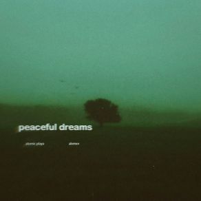 Download track Peaceful Dreams (Slowed, Reverb) Atømic PlāyaReverb