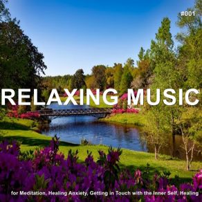 Download track Stress Relief Meditation Relaxing Music Therapy