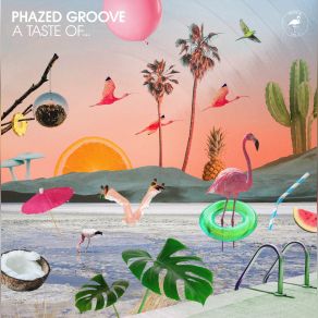 Download track Disco Dolls Phazed Groove