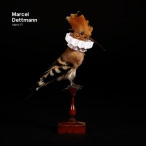 Download track Apron (PAS The Rhythm Remix) Marcel Dettmann