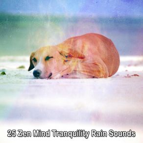 Download track Natural Storm Mission Meditation Rain Sounds