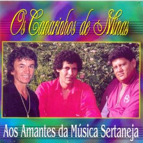 Download track Diga A Ela Os Canarinhos De Minas