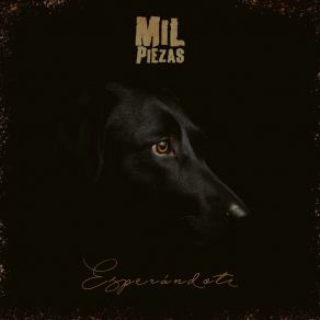 Download track Acostumbrado A Perder Mil Piezas