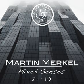 Download track Mixed Senses Martin Merkel