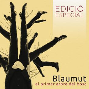 Download track Passes La Pàgina En Blanc Blaumut