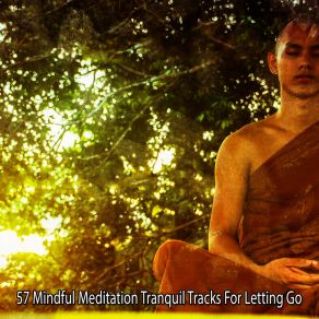 Download track Light In The Dark Asian Zen Spa Music Meditation