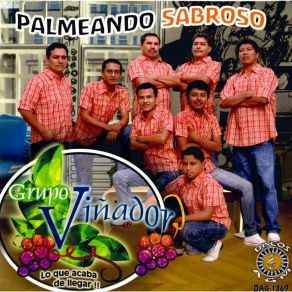 Download track Sin Perdon Grupo Vinador