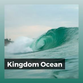 Download track Newfangle Ocean Calm Sea Sounds