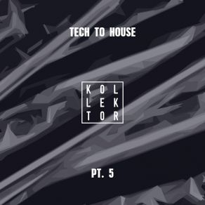 Download track Feel My Music (Tamer Fouda Remix) Edson Pride