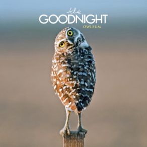 Download track Younger Years Goodnight