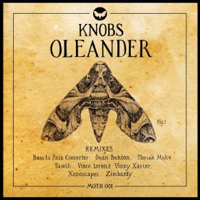 Download track Oleander (Zimbardy Remix) Knobs