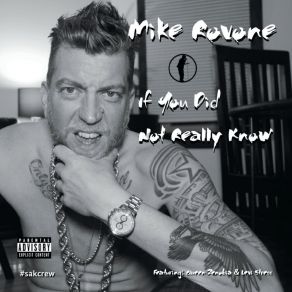 Download track If You Did Not Really Know Mike Rovone