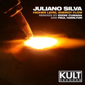 Download track Higher Level Energy Flow Juliano Silva