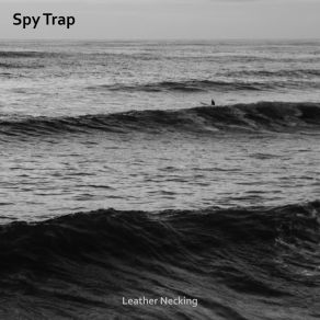 Download track Anything Legal Leather Necking