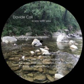 Download track A Say With You (Original Mix) Davide Cali