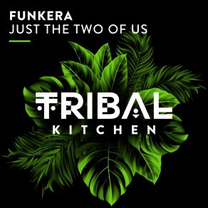 Download track Just The Two Of Us (Extended Mix) Funkera