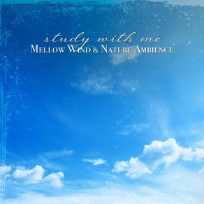 Download track Mellow Wind & Nature Ambience, Pt. 6 Sebastian Riegl