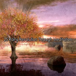 Download track Quenching The Earth Meditation Rain Sounds