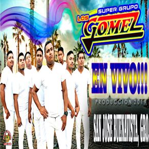 Download track Con La Botella En La Cabeza (En Vivo) Super Grupo Gomez