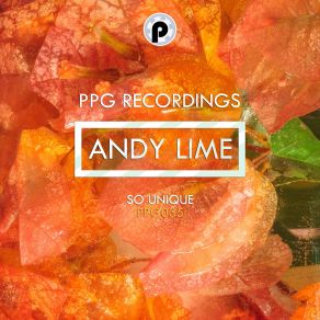 Download track Shades Of Summer Andy Lime